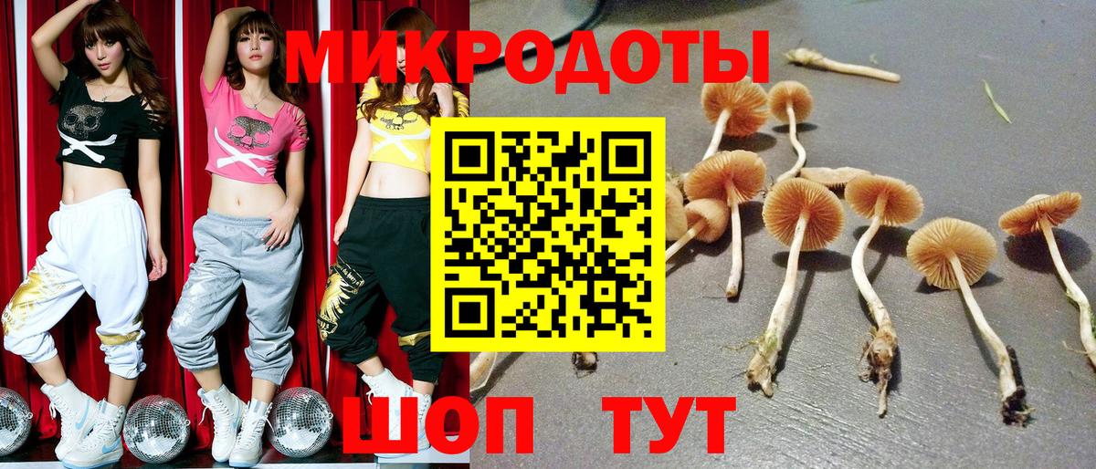 Галлюциногенные грибы мухоморы Альметьевск