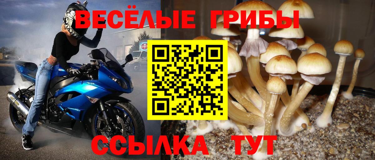 Галлюциногенные грибы ЛСД  Вход с VPN  Альметьевск 